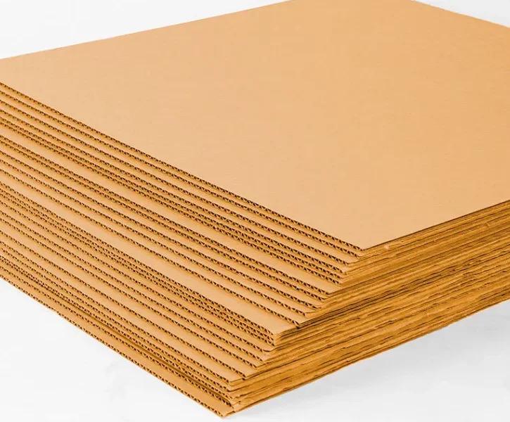 WhatsApp Image 2023-12-15 at 14.30